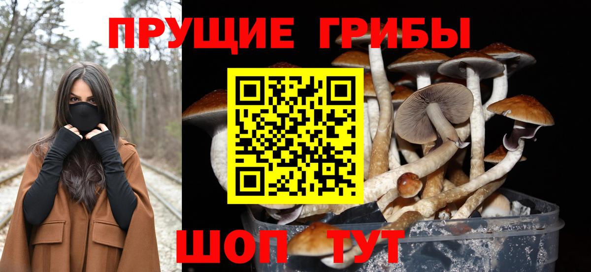 Псилоцибиновые грибы Magic Shrooms  Вход с VPN  Галлюциногенные грибы Magic Shrooms  Кинешма 